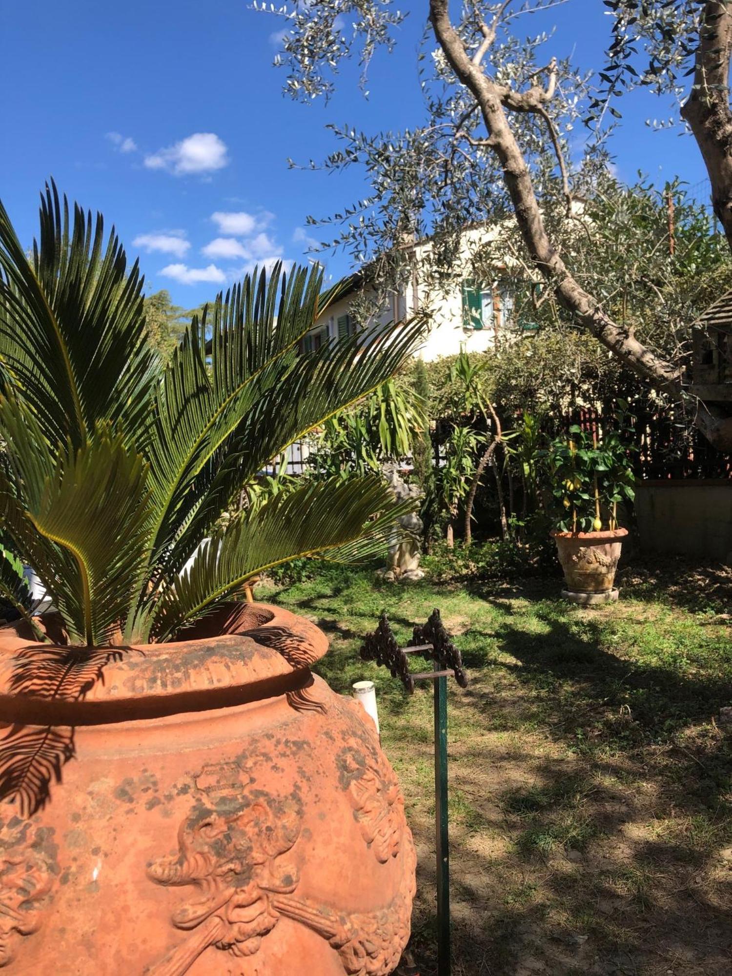 La Villa Bianca - Appartamento In Villa Sesto Fiorentino Bagian luar foto