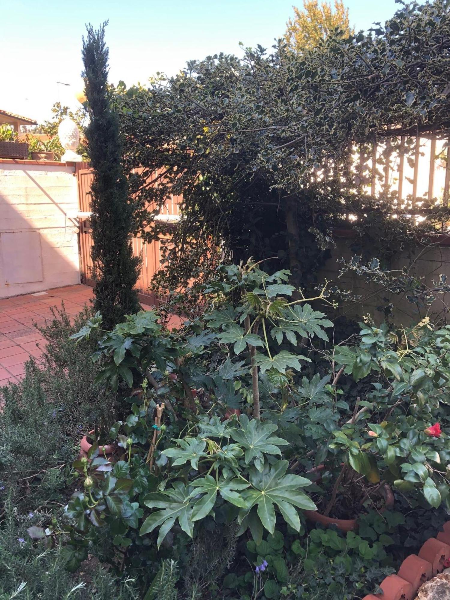 La Villa Bianca - Appartamento In Villa Sesto Fiorentino Bagian luar foto