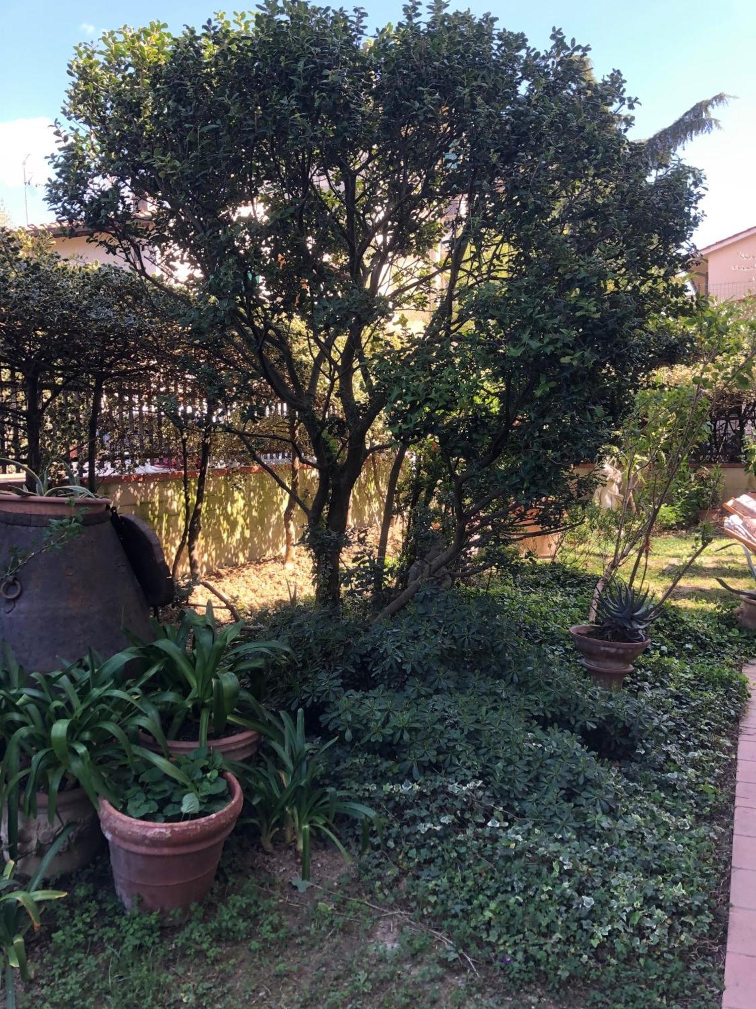 La Villa Bianca - Appartamento In Villa Sesto Fiorentino Bagian luar foto